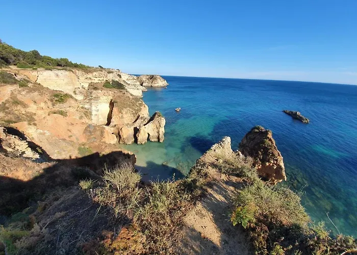 Santos Blue In Da Rocha